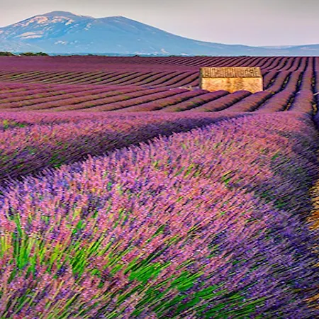 فندق مبيت وإفطار Six Chandelles M'etaient Comptees 3*