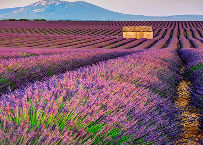 Bed & Breakfast Six Chandelles M'etaient Comptees 3*