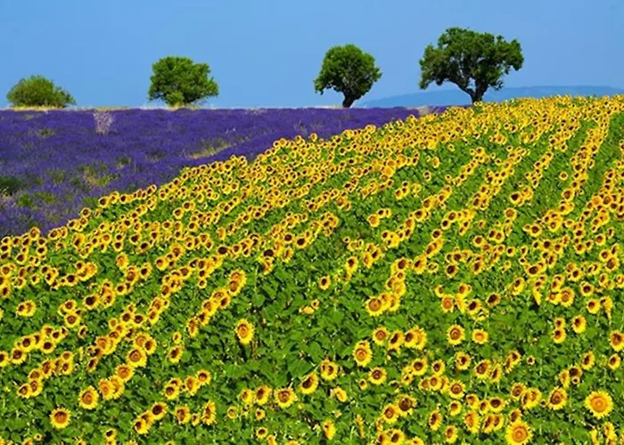 Six Chandelles M'etaient Comptees Puimoisson