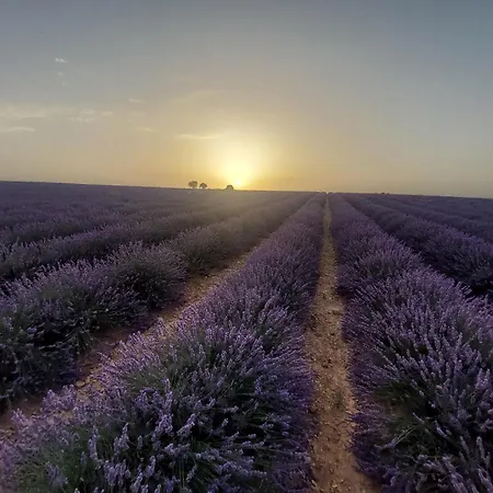 Six Chandelles M'etaient Comptees Puimoisson