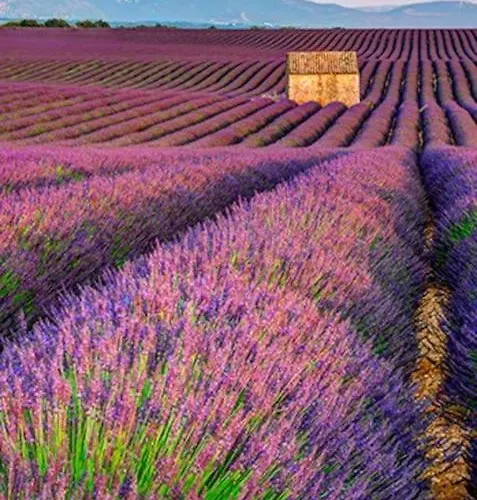 Six Chandelles M'etaient Comptees