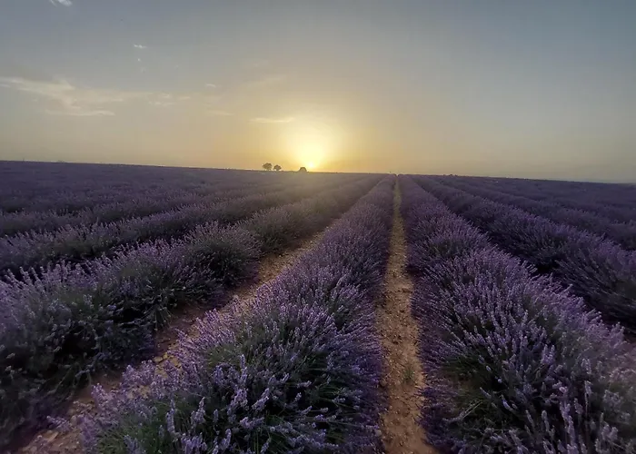 Six Chandelles M'etaient Comptees Puimoisson